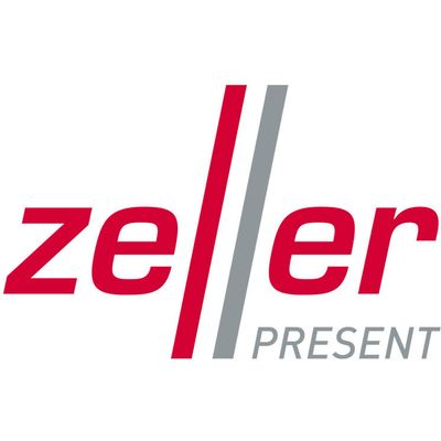 Zeller Present Filz Praktisch Stilvoll auf - Wäschesammler 35x30x55cm & Anthrazit