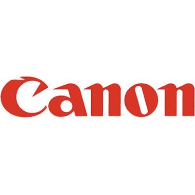 Canon Ink PFI-1700 GY Gray Bild 3