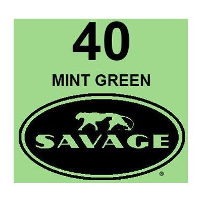 Savage Background 1.35mx 11m paper mint green