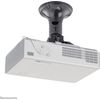 Newstar Attacco a soffitto BEAMER-C50 argento thumb 1