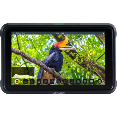 Atomos Shinobi Bild 6