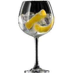 GHA Gin Tonic Glas Bar Concept 2Stück 68cl