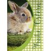 Abc Glückwunschkarte Mini Frohe Ostern