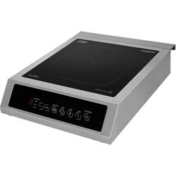 Caso Table de cuisson à induction IP PRO3500