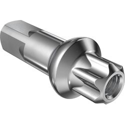 DT Swiss Squorx Nippel Aluminium PL 2.0/15mm, silber, 100 Stk.