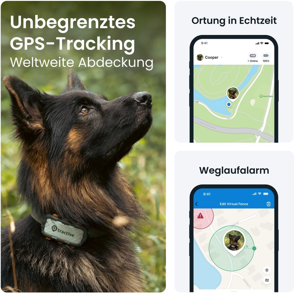 Traceur GPS suivi d'activité pour chien Tractive