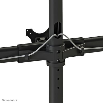 Newstar Supporto da tavolo FPMA-D700D6 fino a 50 kg Bild 7