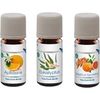 Venta Fragrance oil set EXCLUSIVE N ° 1, 3 x 10 ml thumb 1