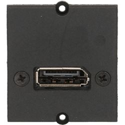 Bachmann Module personnalisé 1x DisplayPort