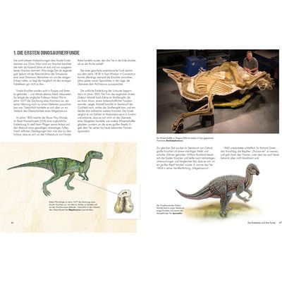 XXL Kinderbuch Dinosaurier Bild 2