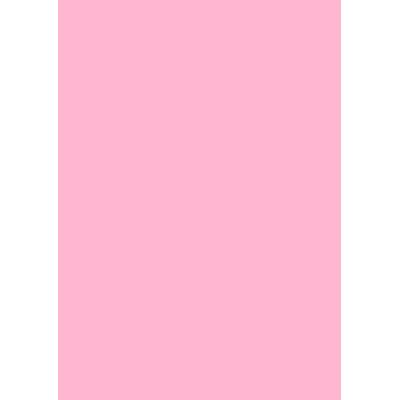 Stewo Papier d&#39;emballage couleur 70 cm x 2 m rose